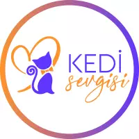 Kedi Sevgisi